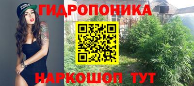 гашик Гагарин