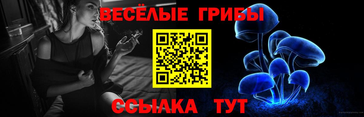 Березники  Псилоцибиновые грибы ЛСД  Вход с VPN 
